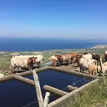 On Wild Atlantic Way