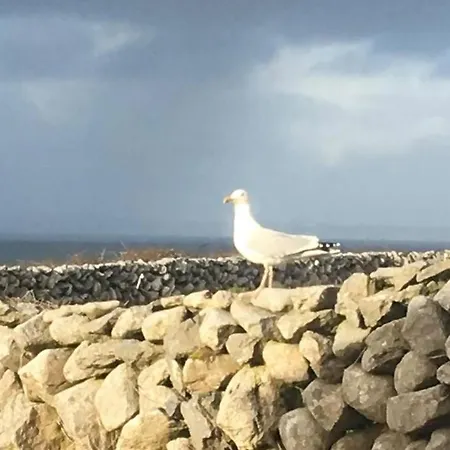 On Wild Atlantic Way Fanore
