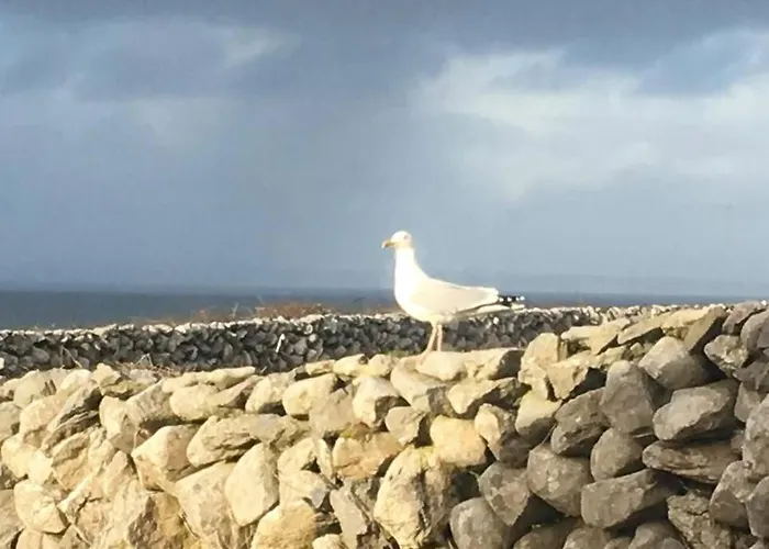 On Wild Atlantic Way Fanore